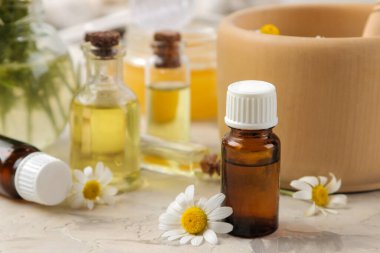 Tıbbî papatya çayı ve papatya çayı özü şişede. Papatya çiçeklerinden yağ. Aromaterapi. Bir uyuşturucu. Hafif beton bir masada..