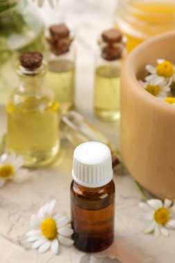 Tıbbî papatya çayı ve papatya çayı özü şişede. Papatya çiçeklerinden yağ. Aromaterapi. Bir uyuşturucu. Hafif beton bir masada..