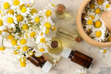 Tıbbî papatya çayı ve papatya çayı özü şişede. Papatya çiçeklerinden yağ. Aromaterapi. Bir uyuşturucu. Hafif beton bir masada. en üstteki görünüm.