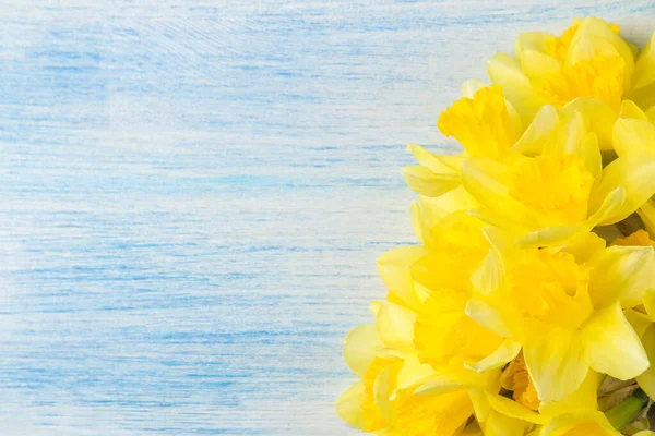 Flores Primavera Narcisos Amarillos Marco Sobre Fondo Madera Azul Lugar — Foto de Stock