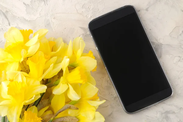Voorjaarsbloemen Gele Narcissen Een Telefoon Een Lichte Betonnen Achtergrond Bovenaanzicht — Stockfoto