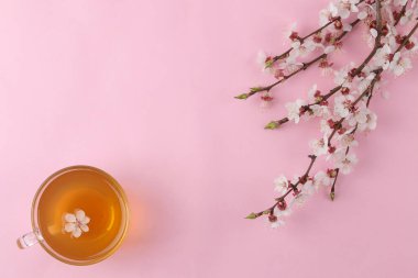 Çiçek açan dal. Bahar çiçekleri ve parlak pembe arka planda bir fincan çay. Üst Manzara. metin için yer