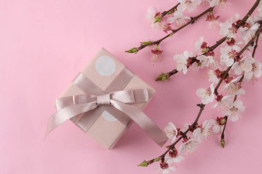 Çiçek açan dal. Pembe arka planda bahar çiçekleri ve hediye kutusu. en üstteki görünüm.