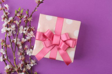 Çiçek açan dal. Bahar çiçekleri ve parlak bir leylak arka planda pembe hediye kutusu. en üstteki görünüm