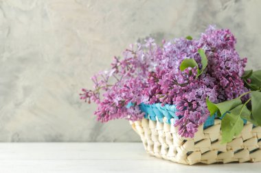 Bahar çiçekleri. Hasır sepetin içinde açık beton bir arka planda çiçek açan leylak dalları.