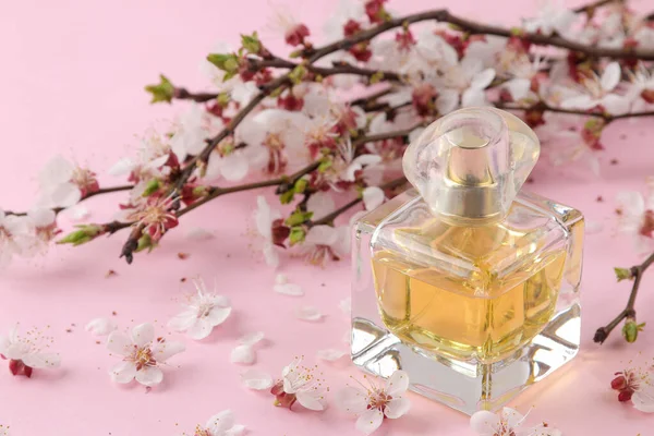 Gałąź Kwitnąca Wiosenne Kwiaty Butelka Perfum Jasnoróżowym Tle — Zdjęcie stockowe