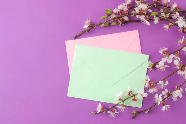 開花枝 明るいライラックの背景に春の花や色の封筒 トップビュー — ストック写真