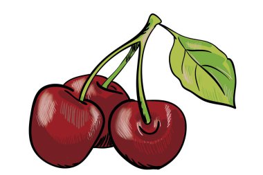 handdrawn kırmızı kiraz