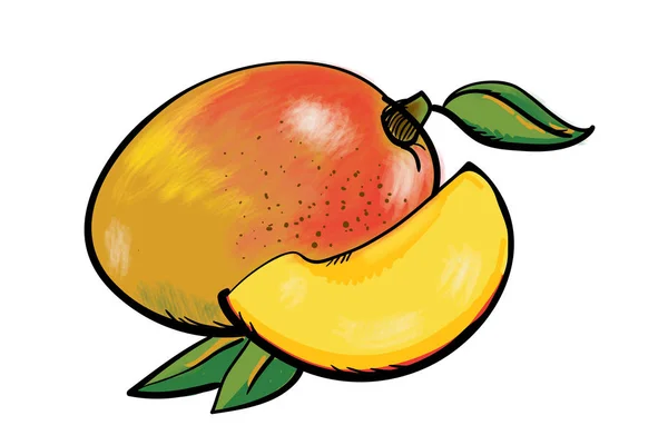 Handdrawn taze mango — Stok Vektör