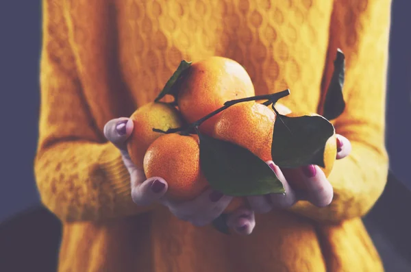 Woman in cozy knitted pullover with fresh clementines in her hands — Stock Photo, Image