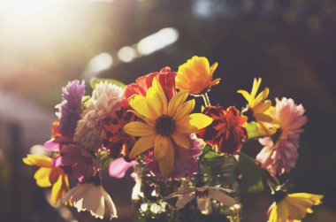 Koyu arka plan üzerinde renkli çiçek demet