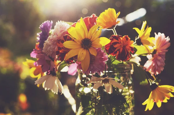 Bouquet of autumn flowers in sunlights — Stock Photo, Image