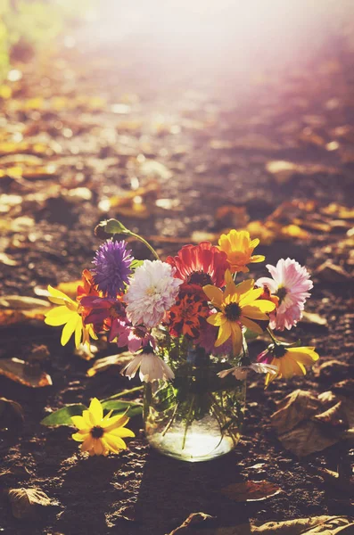 Bunch of colorful autumn flowers in sunbeams — Stock Photo, Image