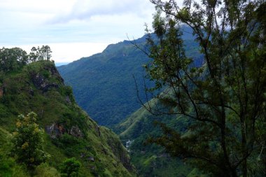 Sri Lanka 'daki küçük Adam' ın zirvesi