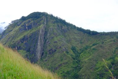 Sri Lanka 'daki küçük Adam' ın zirvesi