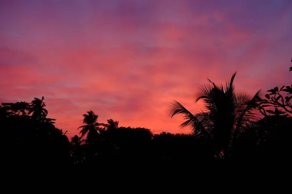 Schönen Roten Asiatischen Sonnenuntergang Meer Palmen Und Wolken — Stockfoto