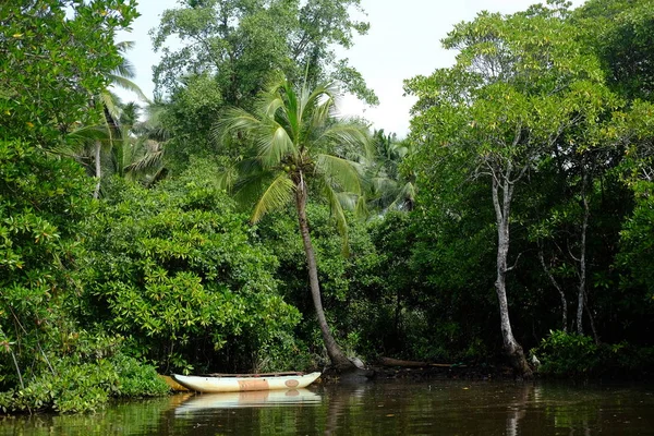 Bentota 'da nehirde yürü. Sri lanka