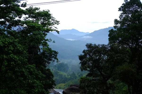 스리랑카의 아름다운 — 스톡 사진