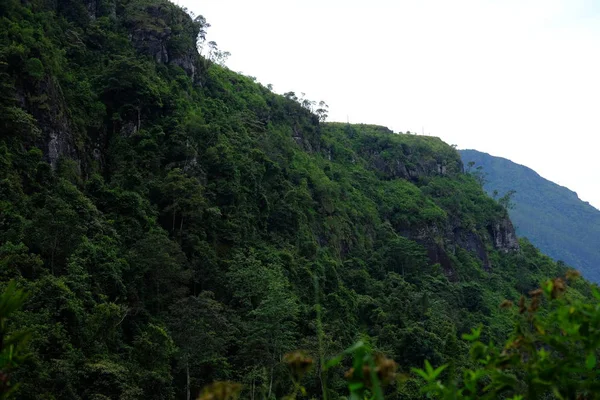 Berg Kleine Adam Piek Sri Lanka — Stockfoto