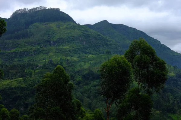 Sommet Petit Adam Sri Lanka — Photo