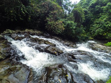 Bali 'deki en güzel şelale. Endonezya, Asya, Şelaleler