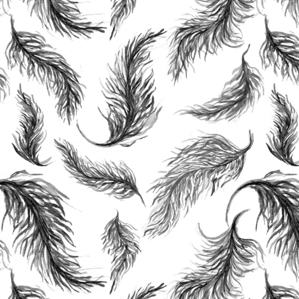 Seamless Pattern Watercolor Feathers White Background — Stock Photo, Image