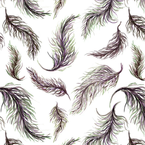 Seamless Pattern Watercolor Feathers White Background — Stock Photo, Image