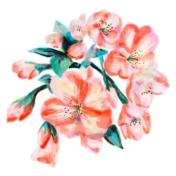 Watercolor Sketch Orange Flower Isolated White Background Beautiful Floral Illustration — 스톡 사진