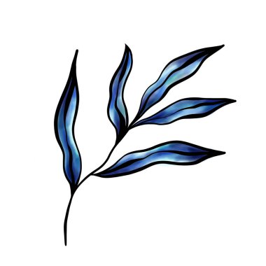 Beyaz arkaplanda mavi yaprakların el çizimi suluboya çizimi