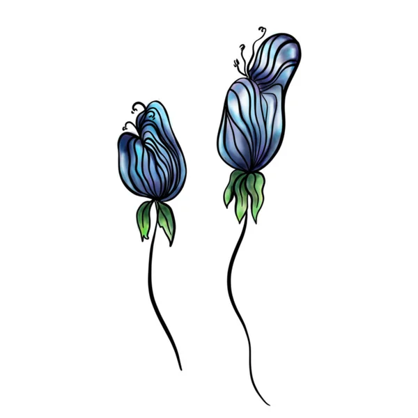 Illustrazione Acquerello Disegnata Mano Fiori Blu Sfondo Bianco — Foto Stock