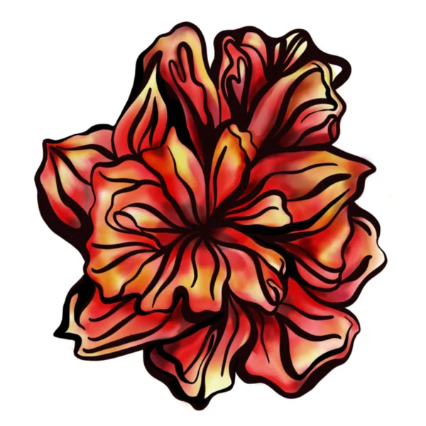 白地に赤い花の水彩画を手描き — ストック写真