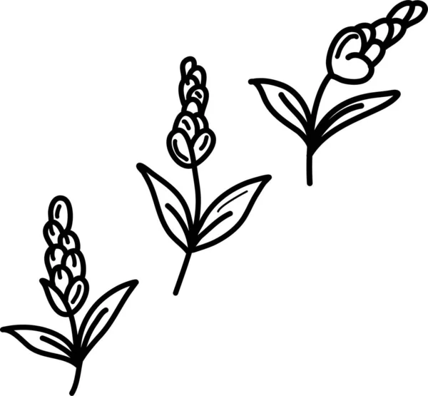 Doodle Των Λουλουδιών Λευκό Φόντο — Διανυσματικό Αρχείο