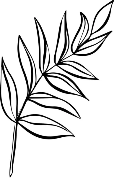Ein Handgezeichneter Zweig Aus Blättern Auf Weißem Hintergrund Stil Eines — Stockvektor