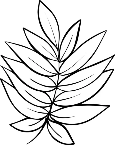一种白色背景上手绘的叶子枝条 具有涂鸦的风格 矢量说明 — 图库矢量图片