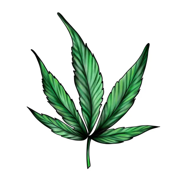 Foglia Canapa Verde Isolata Fondo Bianco Foglia Cannabis Medicinale Illustrazione — Foto Stock