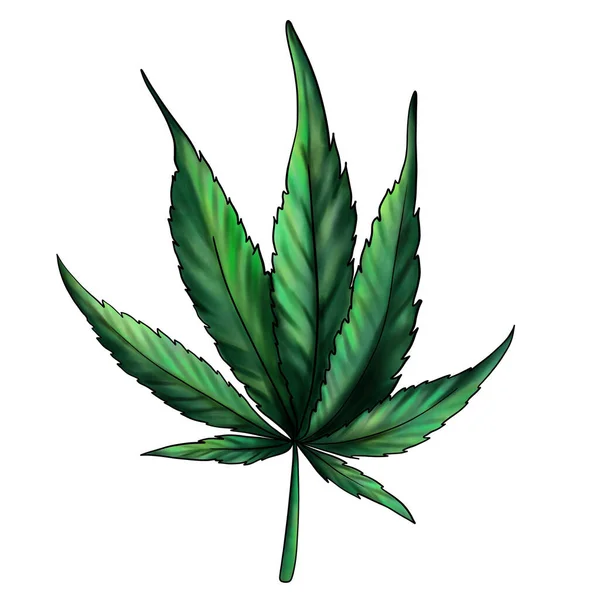 Zöld Kenderlevél Fehér Alapon Elszigetelve Gyógyszeres Kannabiszlevél Kézzel Rajzolt Akvarell — Stock Fotó