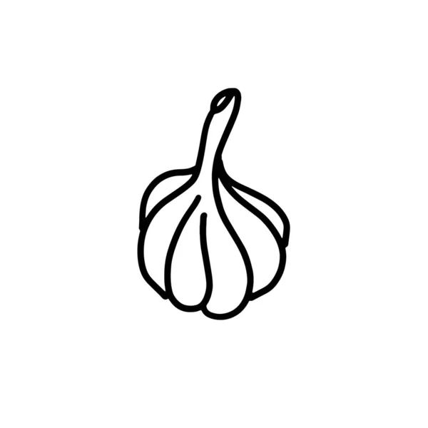 Beyaz arka planda el yapımı sarımsak kafa izole edilmiş. Sebzeler, baharatlar, vejetaryen yemekler. Doodle biçiminde vektör illüstrasyonu.