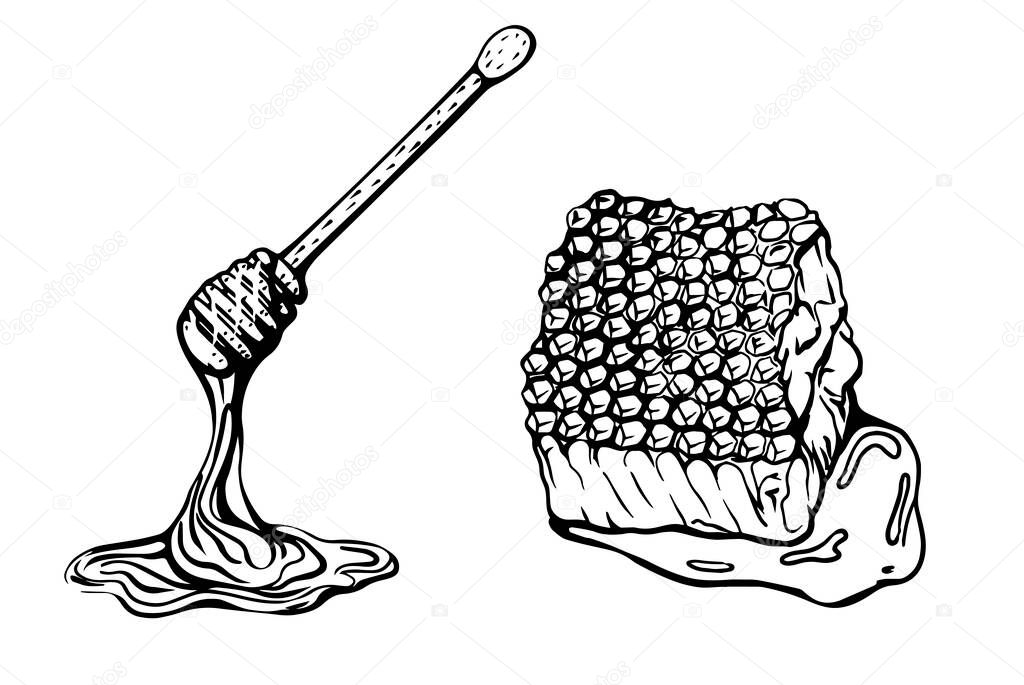 Honeycomb isolated on a white background. Beeswax. honey dipper .Hand-drawn vector illustration in the Doodle style.