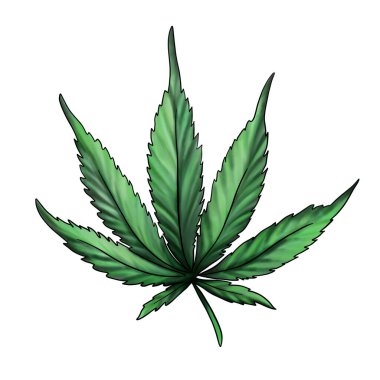 Kenevir yaprağı beyaz bir arkaplanda izole edilmiş. Yeşil marijuana yaprağı. Beyaz arkaplanda el çizimi suluboya çizimi