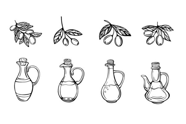 Conjunto dibujado a mano de ramas de olivo y botellas de aceite de oliva aisladas sobre un fondo blanco. Aceite de oliva virgen extra . — Vector de stock