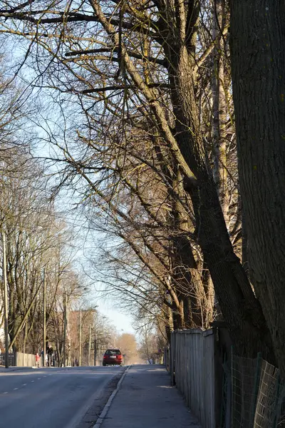 Küçük kasaba sokağı