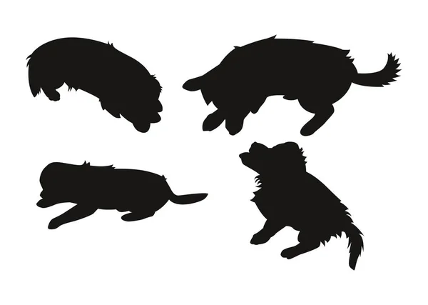 Conjunto de dilhouettes de perro — Vector de stock