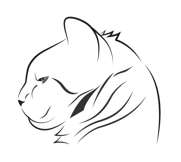 Portret van kat — Stockvector