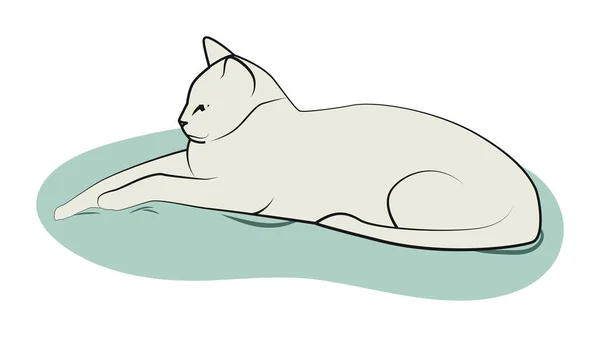 Chat sur l'oreiller — Image vectorielle