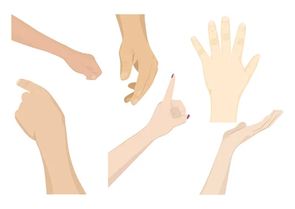 Set of human hands — Stock Vector