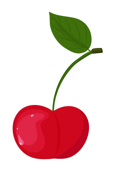 Maturare ciliegia rossa — Vettoriale Stock