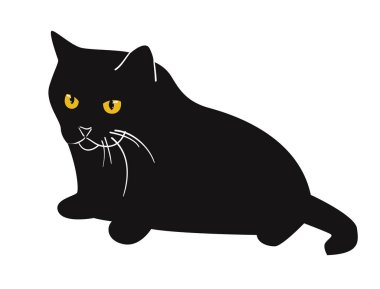 Sarı gözlü, kocaman siyah bir kedi. Vektör illüstrasyonu