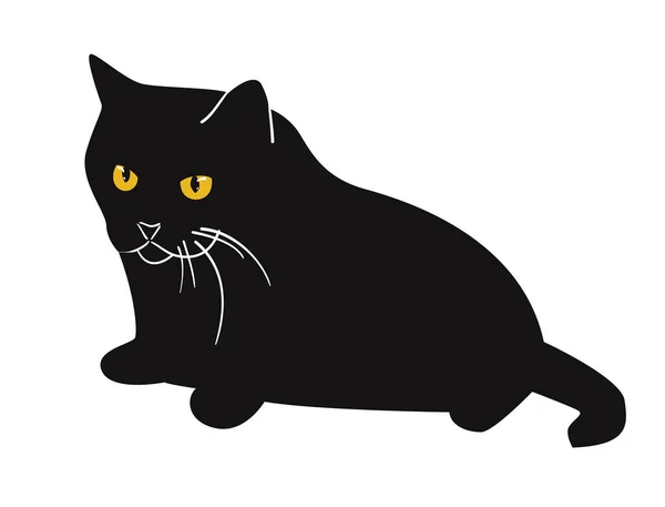 Dicke Schwarze Katze Mit Gelben Augen Vektorillustration — Stockvektor