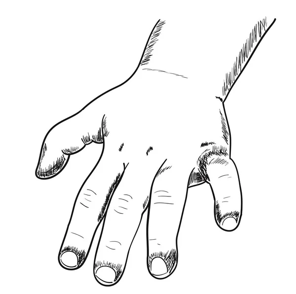 Hand Van Een Klein Kind Schets Vectorillustratie — Stockvector