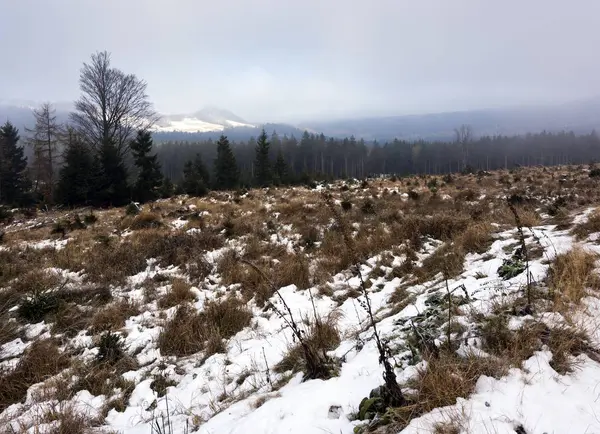 Зимний горный ландшафт — стоковое фото